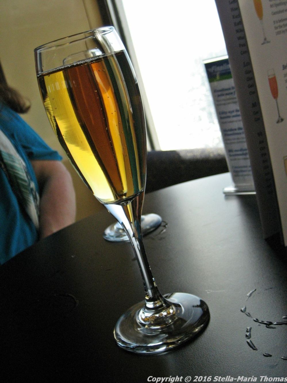 FINNLADY (TRAVEMUNDE-HELSINKI) 2016, PROSCECO 004