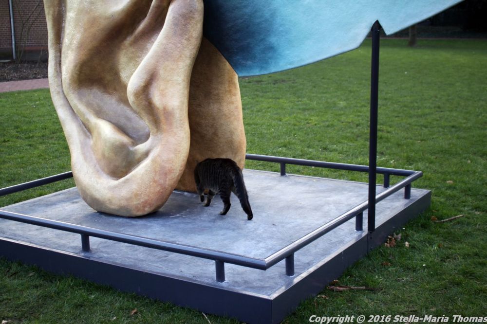 shertogenbosch-116_25587069501_o