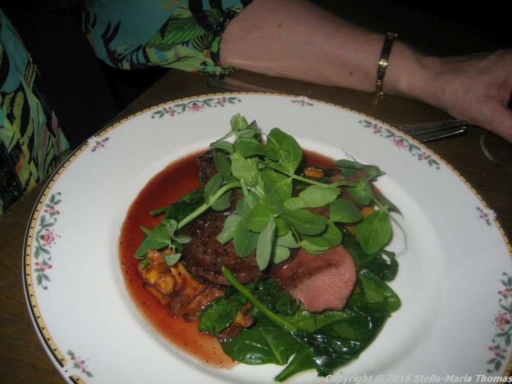 ashmolean-dining-room-october-2016-wood-pigeon-003