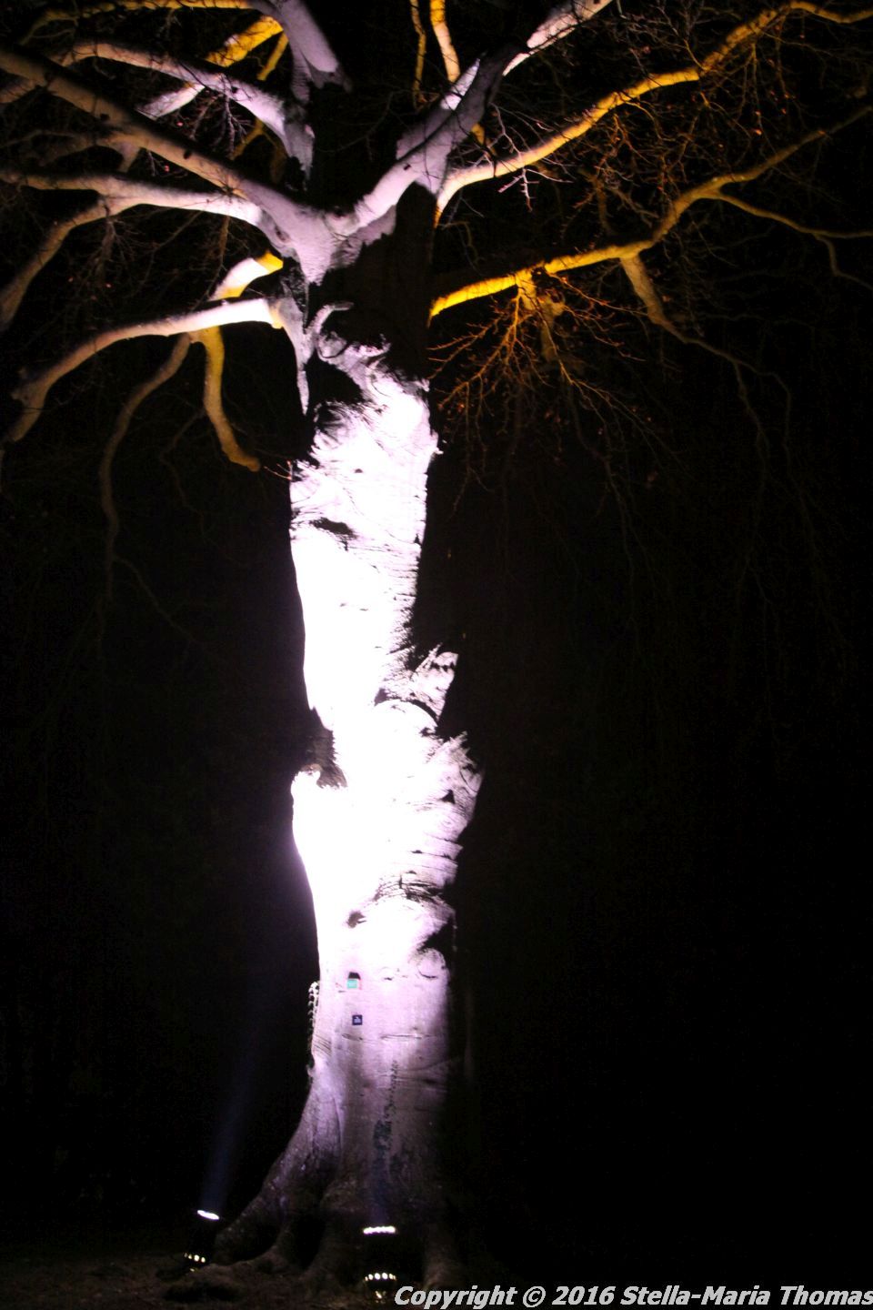 christmas-at-blenheim-021