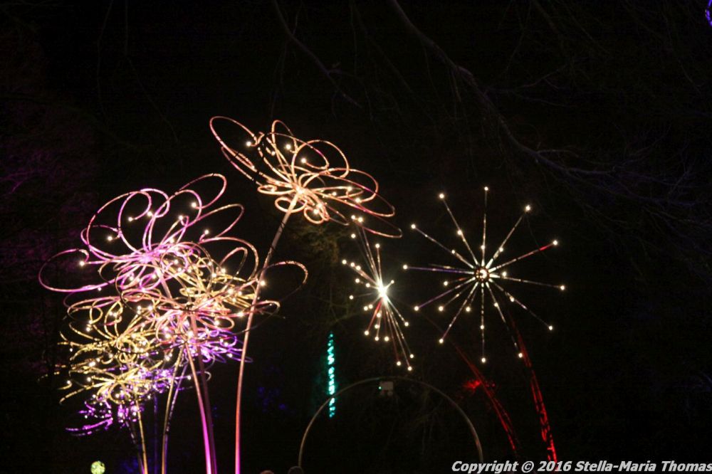 christmas-at-blenheim-035