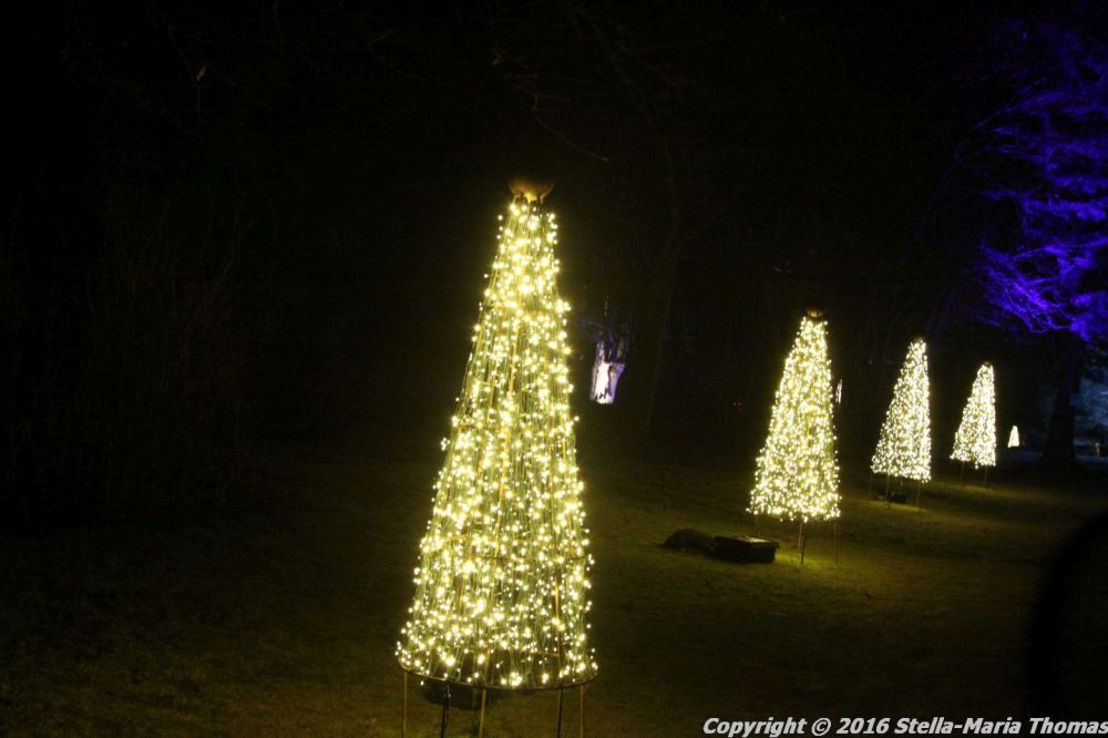 christmas-at-blenheim-044