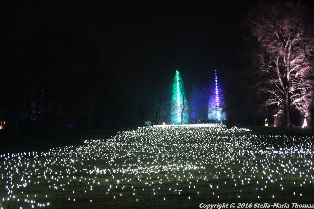 christmas-at-blenheim-053