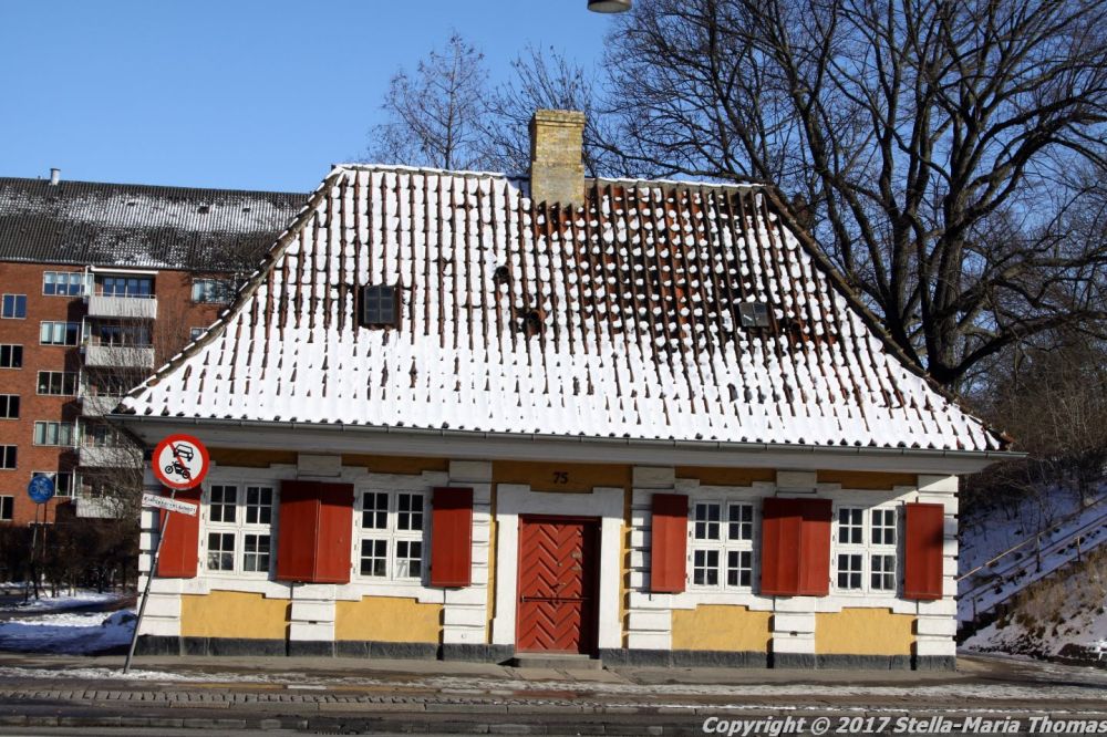 copenhagen-saturday-11_2_2017-013