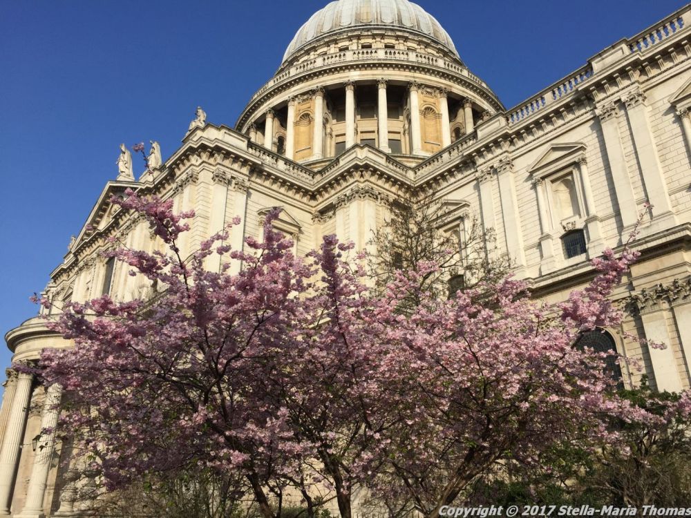 LONDON MORNING, MARCH 2017 026