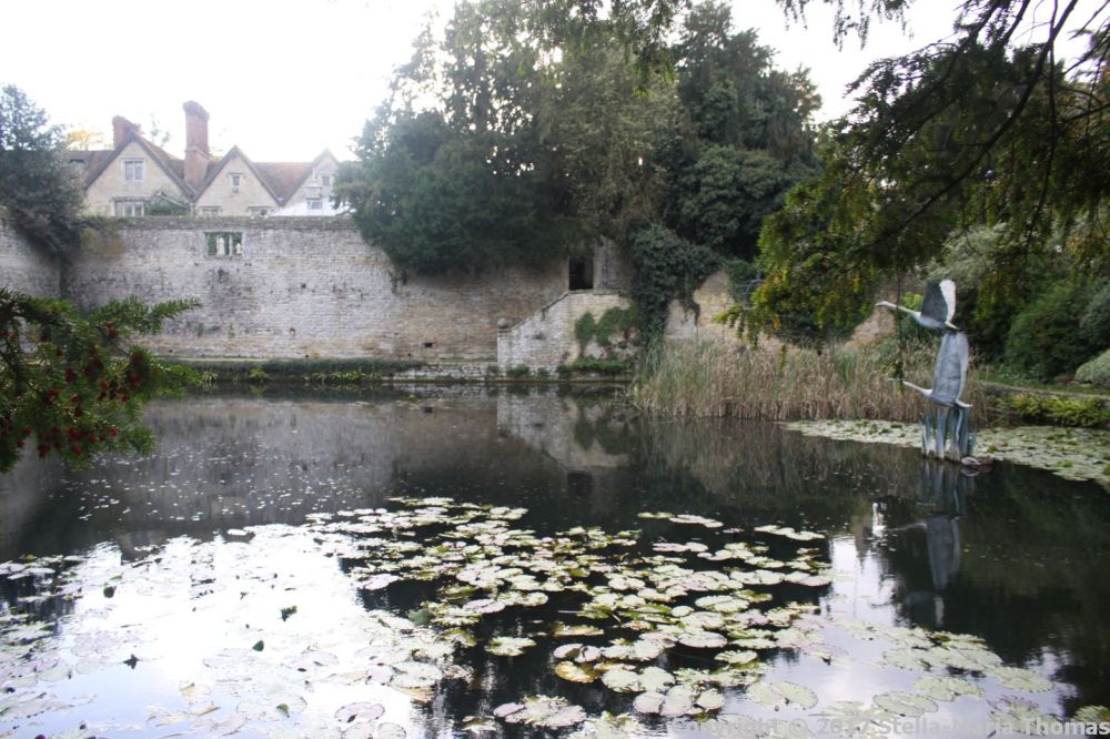 le-manoir-aux-quatsaisons-garden-027_26770840939_o