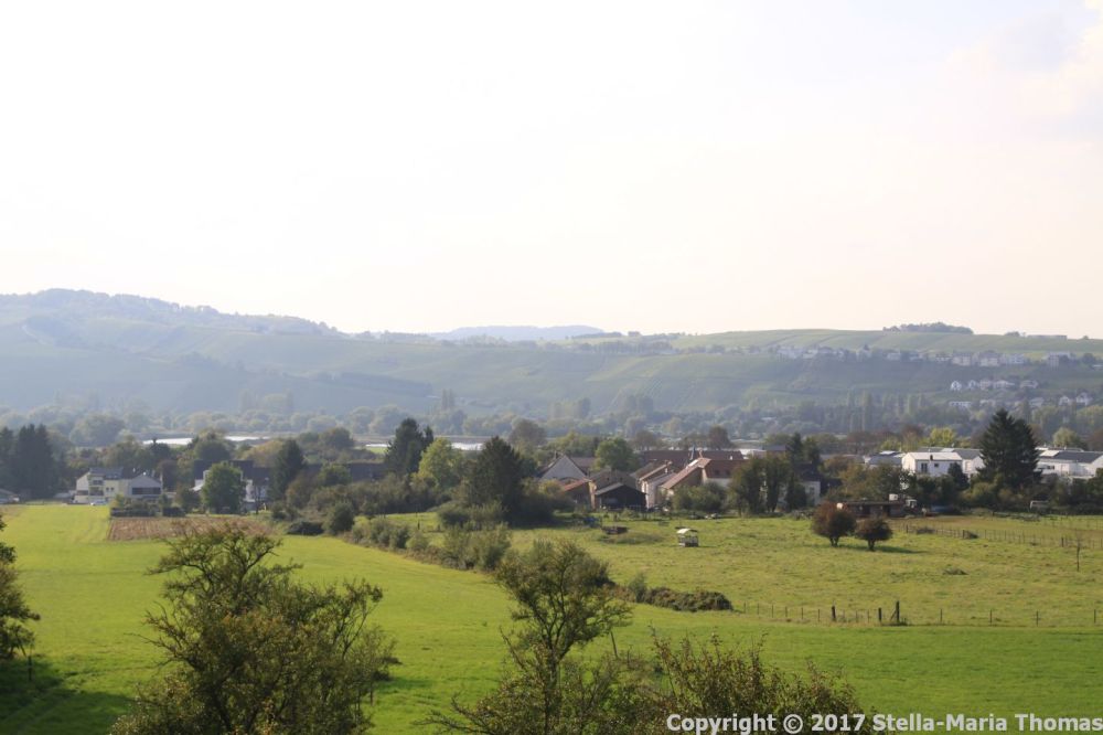 VICTOR'S RESIDENCE-HOTEL SCHLOSS BERG 008