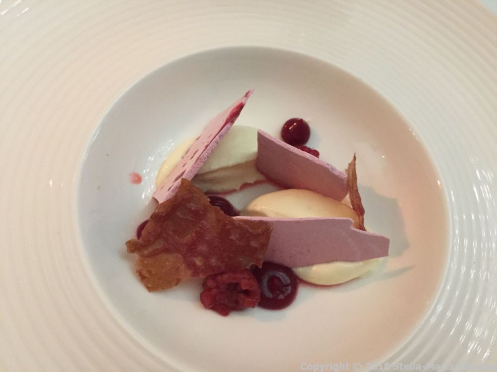 HIBISCUS, WHITE CHOCOLATE MOUSSE, RAPSBERRY SORBET, RASPBERRY TUIILE 009