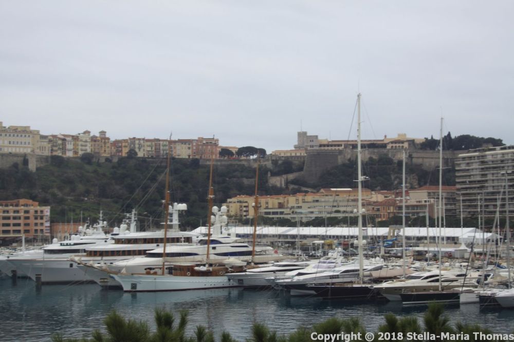 MONACO HOP-ON HOP-OFF BUS TOUR 003