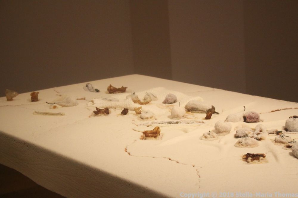 VILLA SAUBER, NEW MUSEUM OF MONACO 016