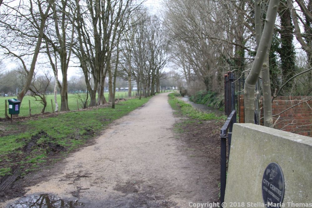 CHICHESTER CATHEDRAL 002