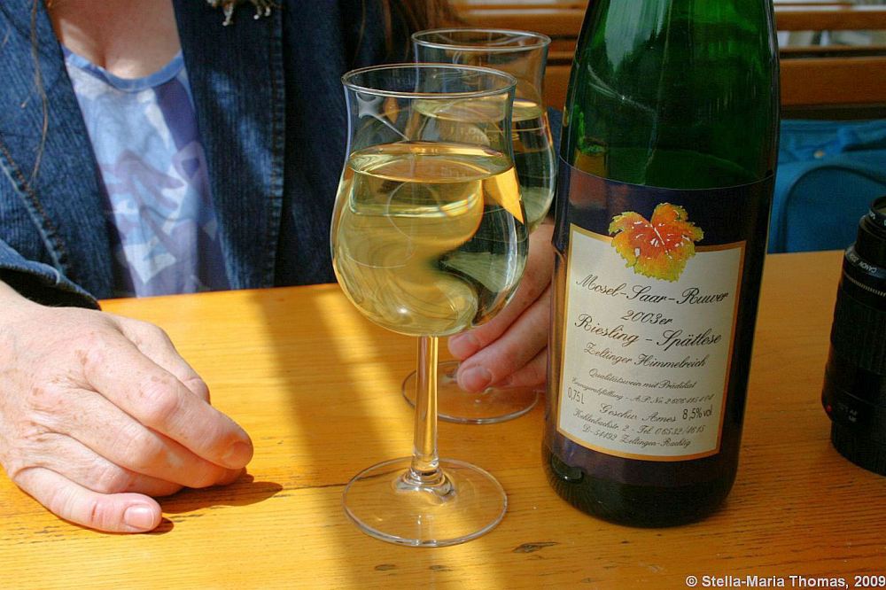 mosel-from-traben-trarbach-to-zeltingen-rachtig-001_3617434809_o