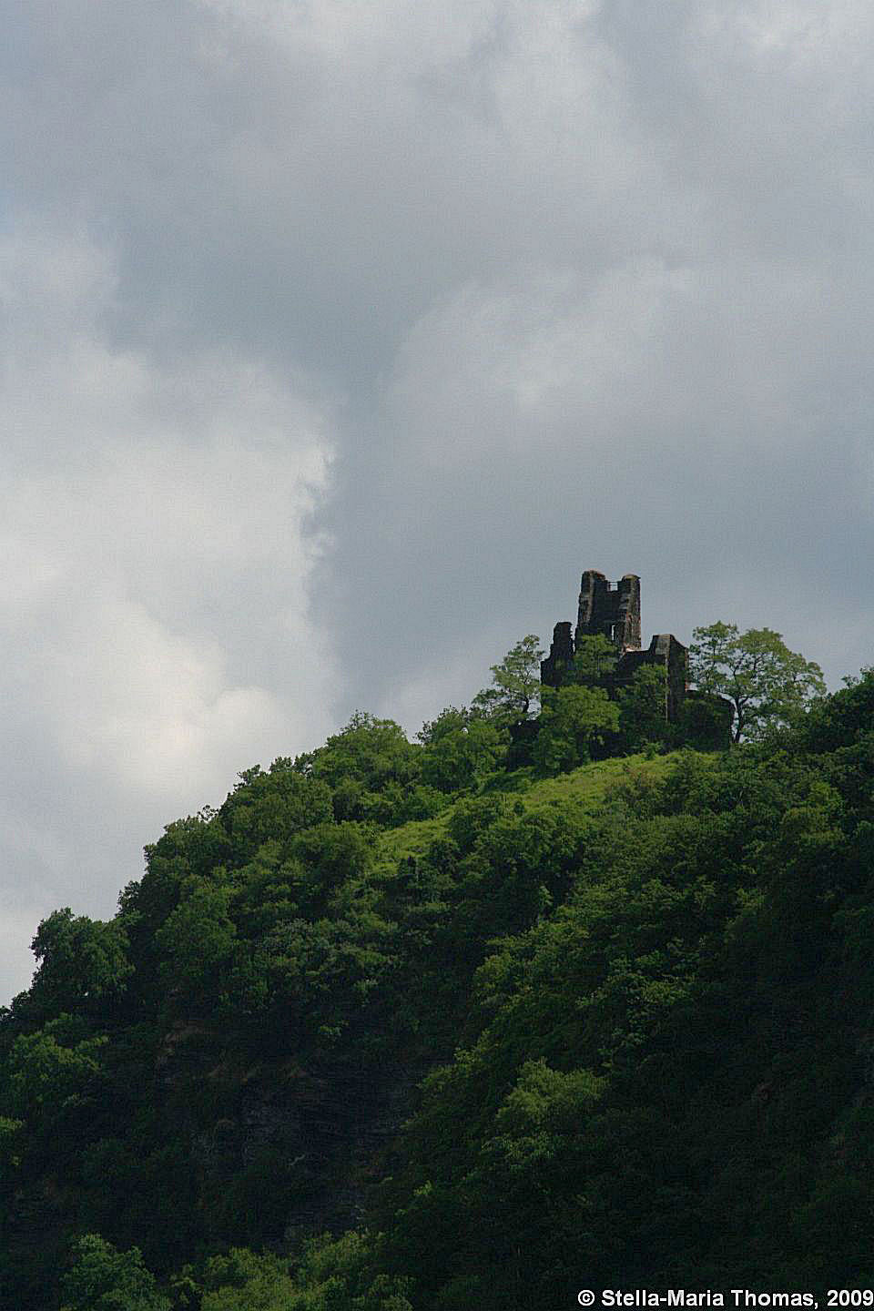 mosel-from-zeltingen-rachtig-to-traben-trarbach-085_3618301588_o