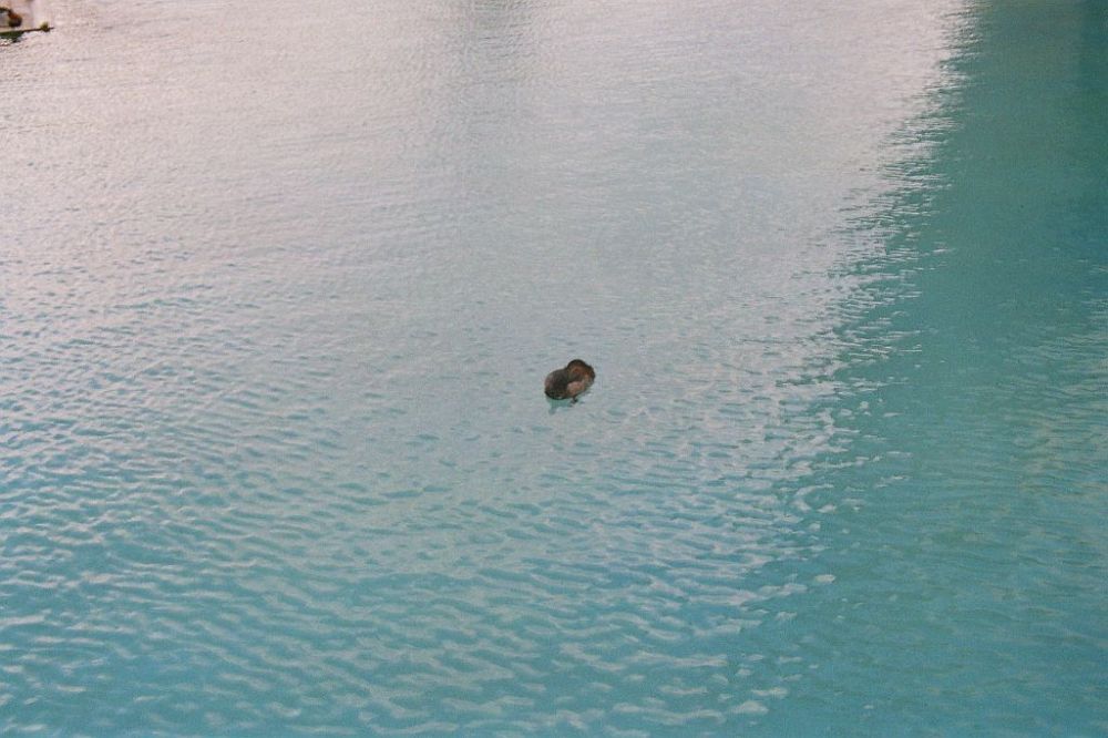 valencia-oceanarium-014_58699276_o