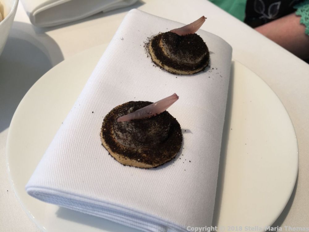 LAUNCESTON PLACE, BANANA SAVOURIES 002