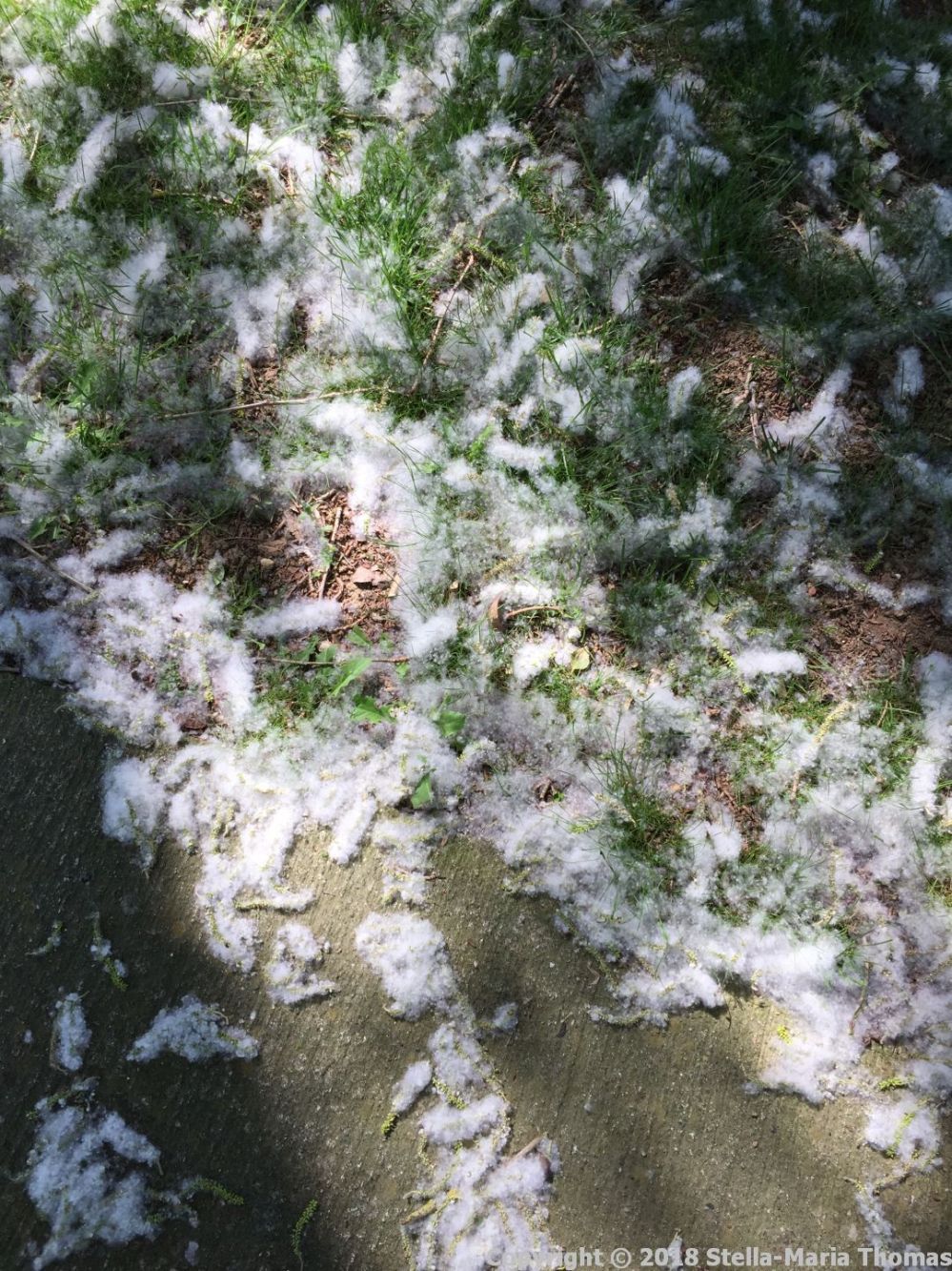 SERVICE STATION STOP 007