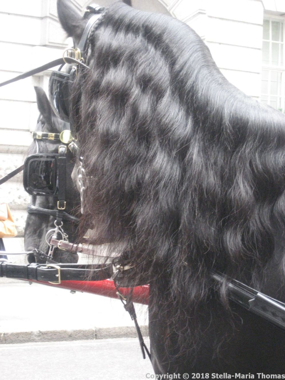 WORSHIPFUL COMPANY OF CARMEN, CART MARKING 2018 177