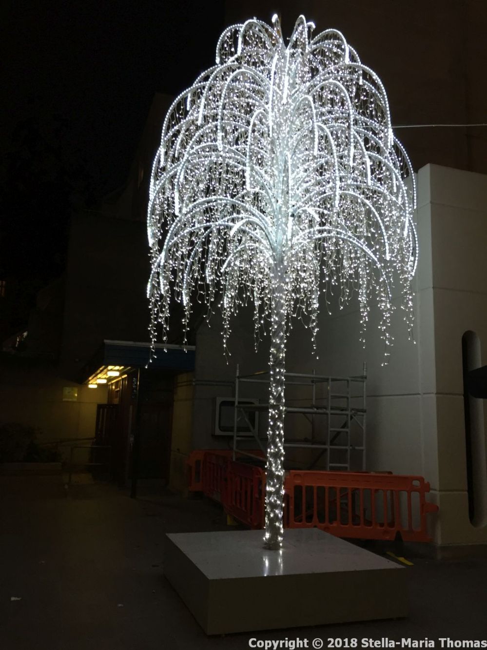 CHRISTMAS LIGHTS, BRUNSWICK SQUARE 001