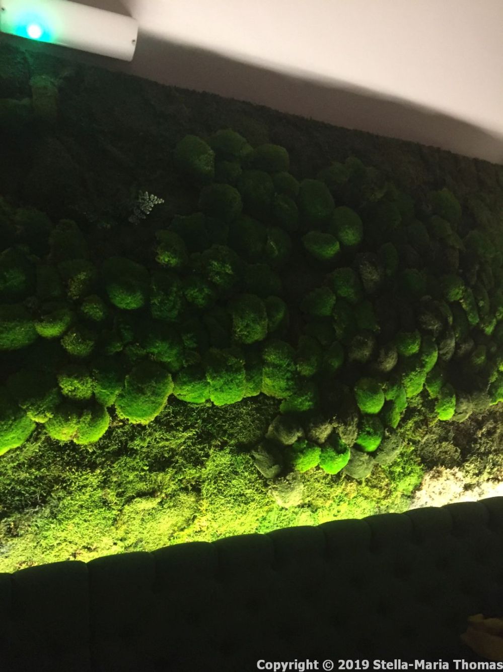 FRENCH AFFAIRE, MOSS WALL 002