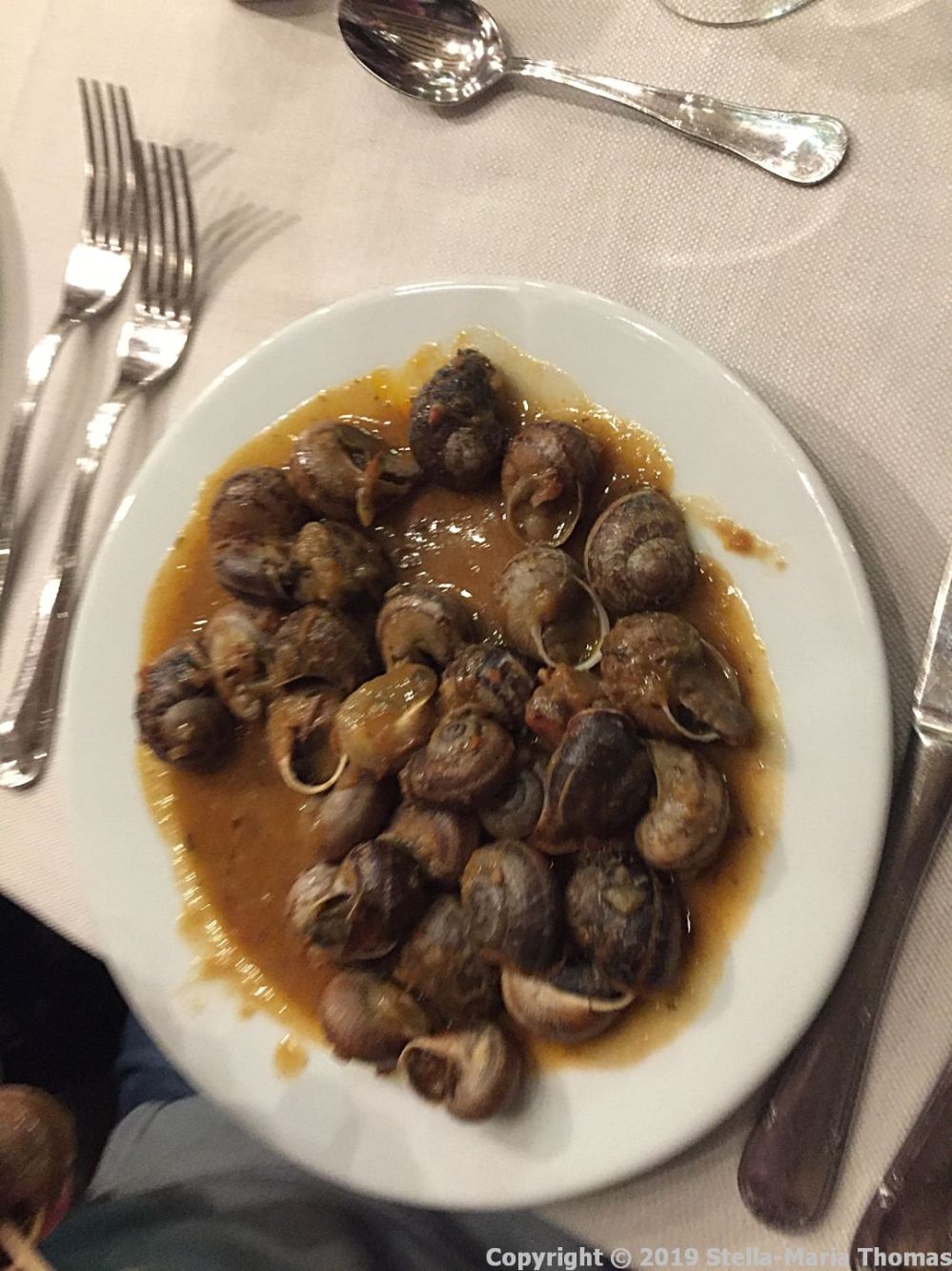 LOS CARACOLES, SNAIL 019