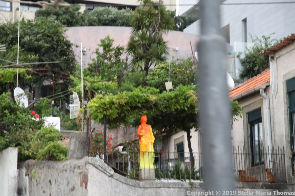 BUS TOUR, PORTO, RED ROUTE 088
