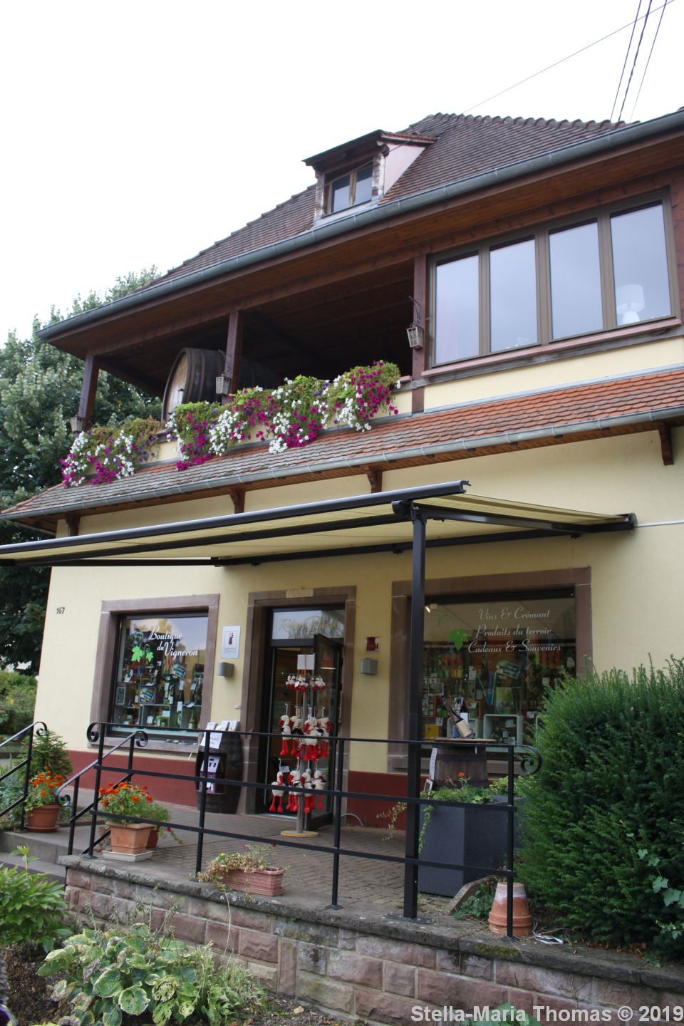 ALSACE WINE TOUR, ROBERT BLANCK 001