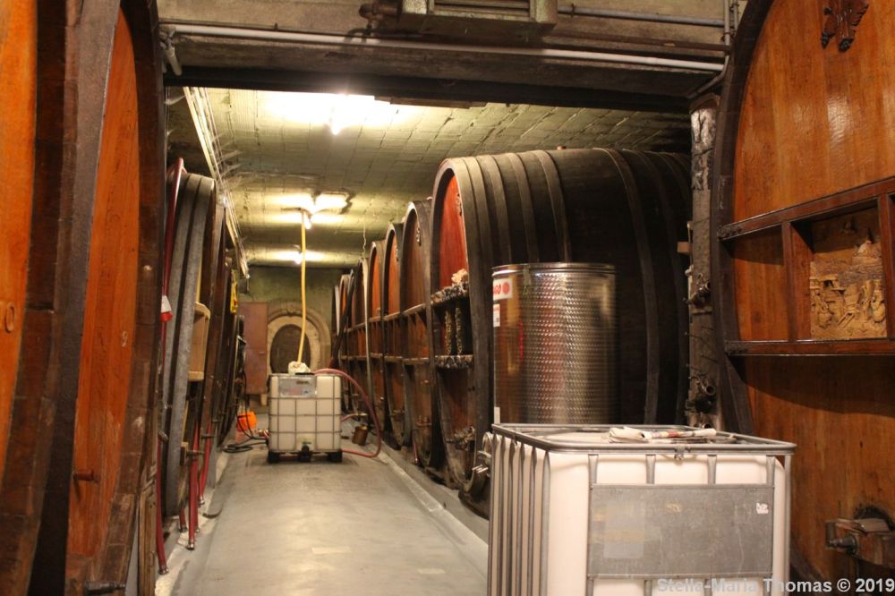 ALSACE WINE TOUR, ROBERT BLANCK 004