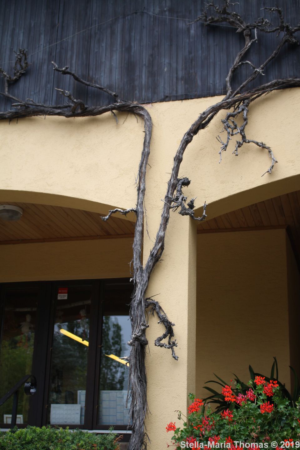 ALSACE WINE TOUR, ROBERT BLANCK 014