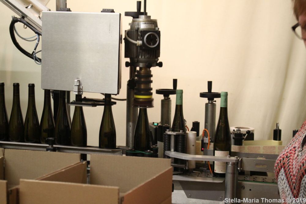 ALSACE WINE TOUR, SYLVIE SPIELMANN 005