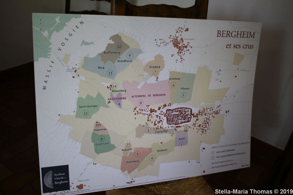 ALSACE WINE TOUR, SYLVIE SPIELMANN 007