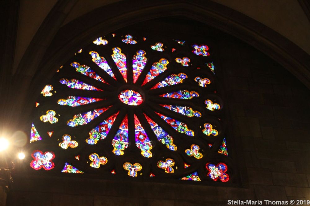 FREIBURG MUNSTER 013