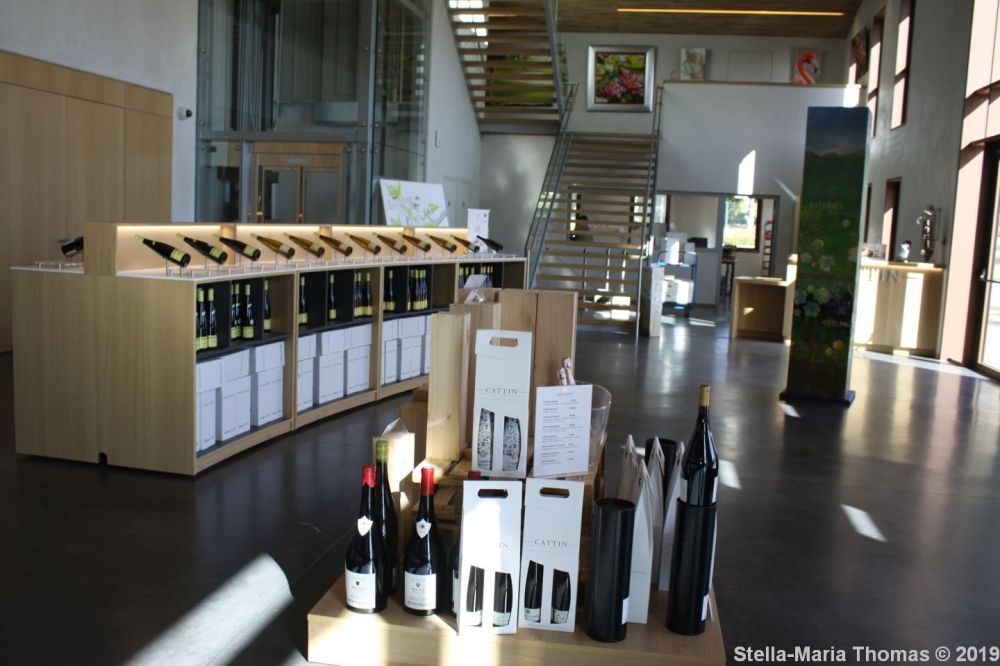 THOMAS CATTIN VINYARD 008