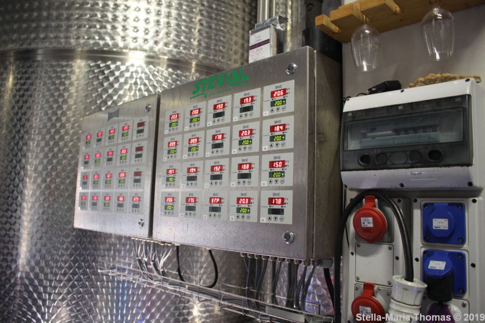 THOMAS CATTIN VINYARD 013