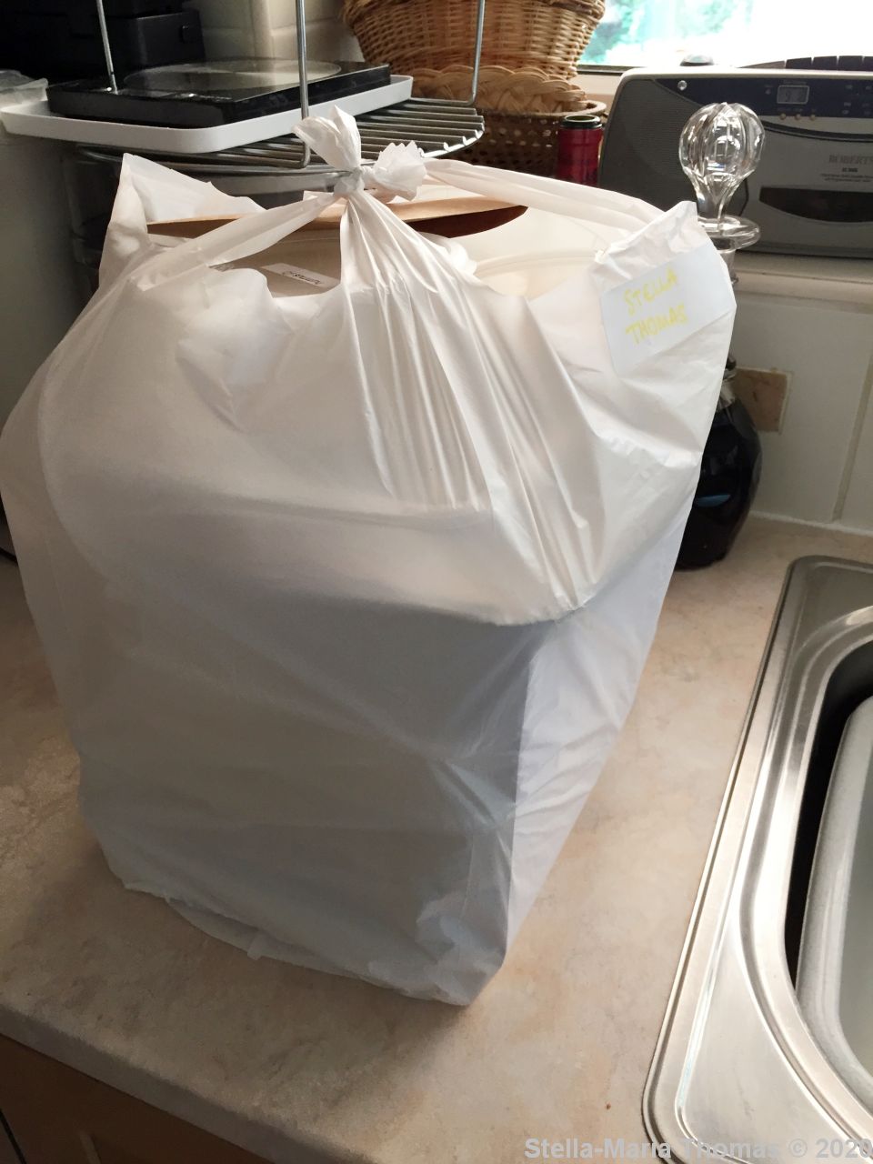 THE FOLLY, TASTING MENU 001